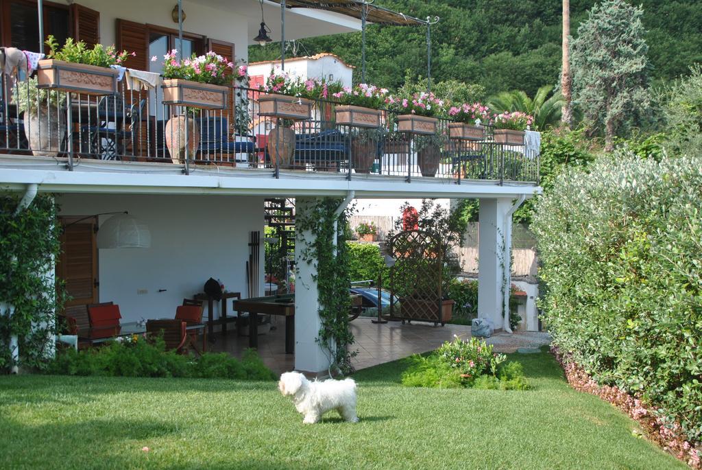 Casa Vacanze Villa Antonella By Gocce Vico Equense Ngoại thất bức ảnh